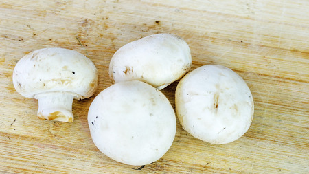 White Mushroomsの写真素材