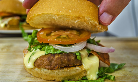 Cheese chicken fillet  burgerの写真素材