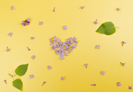 Lilac flowers in the shape of a heart. Isolated on white background.の写真素材