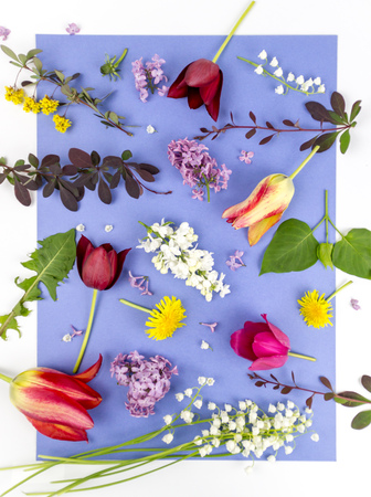 beautiful bouquet of flowers in vase isolated