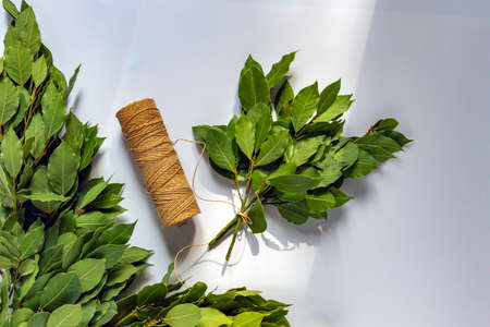 laurel twigs branches on a white rope background