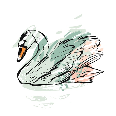 Hand drawn vector abstract ink painted textured graphic swan illustration in pastel colors isolated on white background.Vintage bird drawing illustration.Wedding,birthday,save the date,anniversaryのイラスト素材