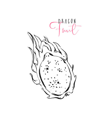 Hand drawn vector abstract freehand textured illustration with exotic tropical dragon fruit or pitaya isolated on white background.のイラスト素材
