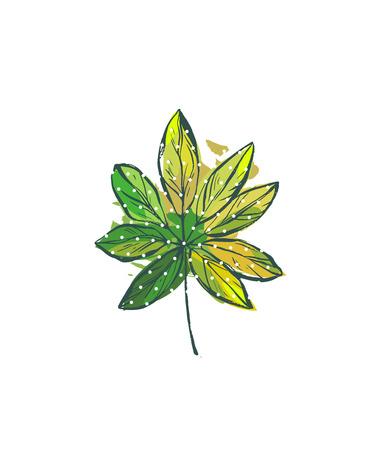 Hand drawn vector abstract freehand textured graphic tropical palm leaf in green colors with polka dots isolated on white background.のイラスト素材
