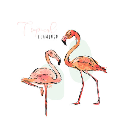 Flamingo Exotic Vector.のイラスト素材