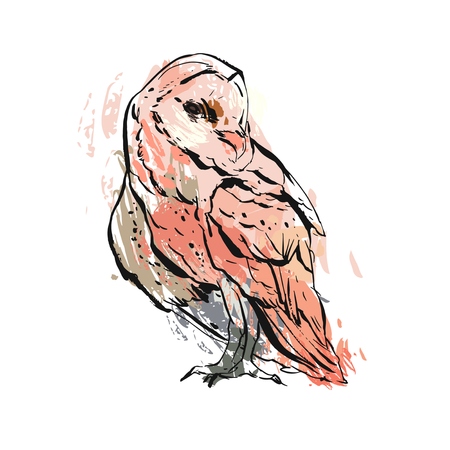 Hand drawn vector abstract graphic owl illustration in pastel colors isolated on white background. Boho painting print design. Zoo and wildlife bird illustration.のイラスト素材