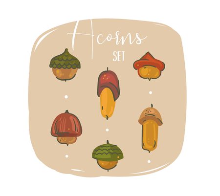 Oak acorns vector illustration.のイラスト素材