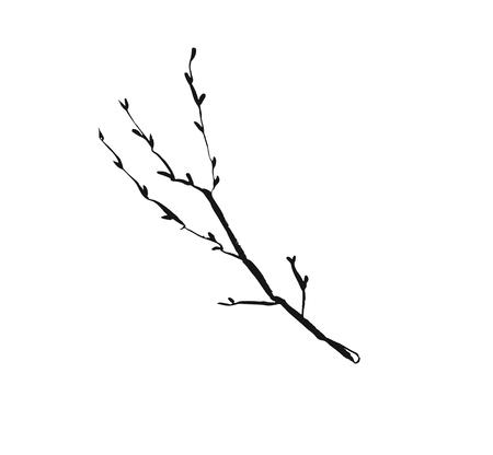 Hand drawn vector abstract artistic ink textured graphic sketch drawing illustration of rustic spring tree branch plant isolated on white backgroundのイラスト素材