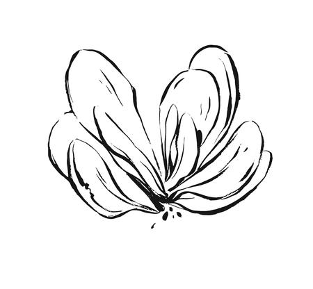 Hand drawn vector abstract artistic ink textured graphic sketch drawing illustration of succulent cactus plant flower isolated on white backgroundのイラスト素材