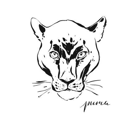 Hand drawn vector abstract artistic ink textured graphic sketch drawing illustration of wildlife puma head isolated on white backgroundのイラスト素材