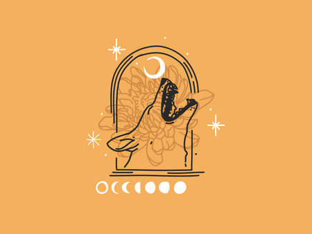 Hand drawn vector abstract stock flat graphic illustration with   elements ,howling wolf head and...