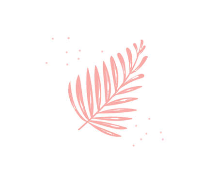 Hand drawn vector stock abstract flat cartoon graphic illustration with tropical palm leaf isolated on white backgroundのイラスト素材