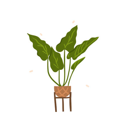 Hand drawn vector abstract stock graphic bohemian clipart illustration with beauty,urban home scandinavian interior design element of green plant in pot isolated on white backgroundのイラスト素材