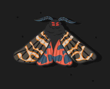 Hand drawn abstract vector clipart illustration collection with butterfly and moth illustration design concept. Nature butterfly vector design silhouette. Beautiful graphic butterfly background wings.のイラスト素材