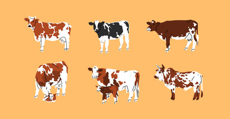 Hand drawn abstract vector clipart illustration collection set with brown adorable cute,stylized cow characters.Trendy modern art design concept.Vector cartoon farm animals symbol. Cartoon cow animal.のイラスト素材