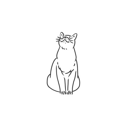 Hand drawn vector abstract graphic line art collection with adorable cute funny cartoon cat character.Vector illustration of funny cartoon outline cat in trendy line style. Drawing line art cat icon.のイラスト素材