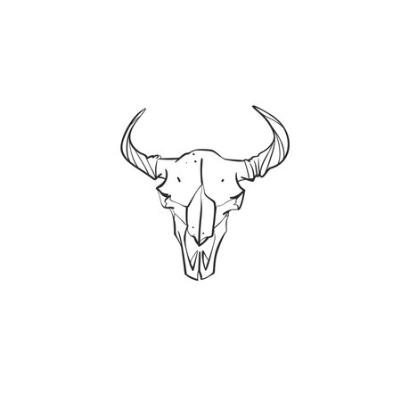 Hand drawn vector abstract graphic line art collection of mystical and esoteric bull and cow animal skull ,isolated on white background.Skull bull Vector sketch line illustration and silhouette.のイラスト素材