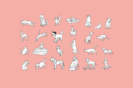 Hand drawn vector abstract graphic line collection set with diverse cute funny cartoon dogs and cats characters.Vector illustration of funny cartoon different breeds pets in trendy style. Line icon.のイラスト素材