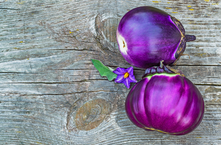 Two purple eggplants closeup on a old gray wooden tableの写真素材