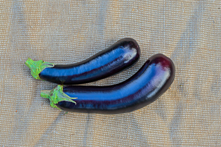 Two whole eggplants on a old grey sacking backgroundの写真素材