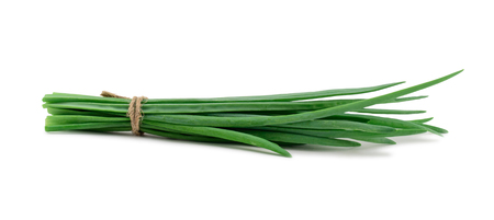 Green onion isolated on white backgroundの写真素材