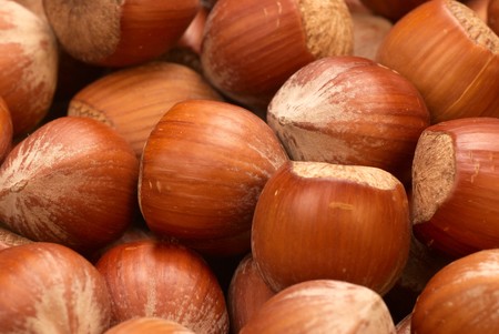 Closeup take of unshelled hazelnuts, food backgroundの写真素材