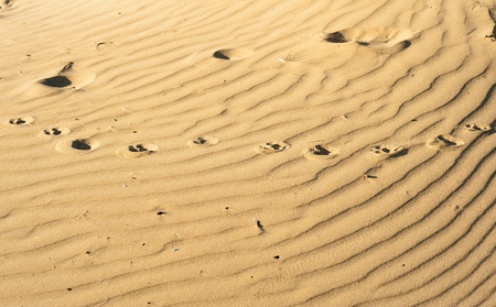 Sunlit beach sand with wavy pattern and footprintsの写真素材