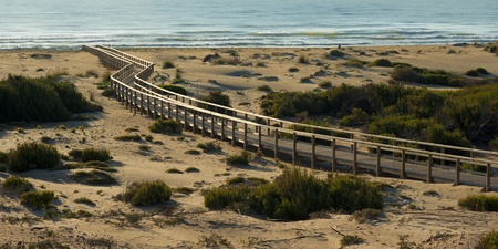 Lonely footbridge leading to a sandy beachの写真素材