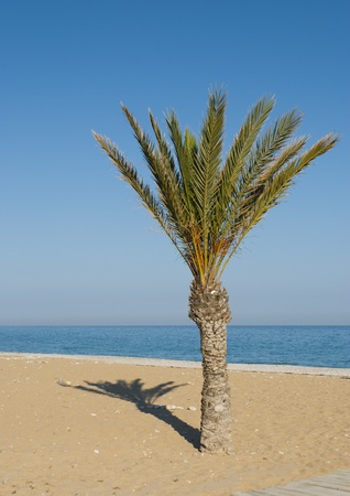 Peaceful Mediterranean beach ready for the summertimeの写真素材