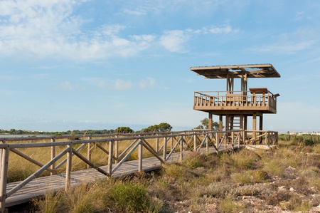 Wooden wildlife watchtower in the middle of a natural parkの写真素材
