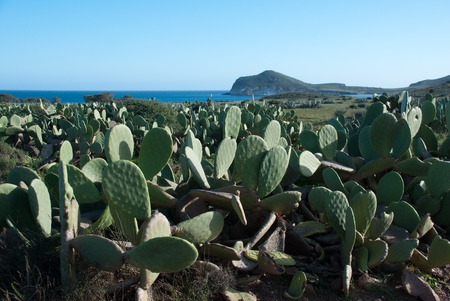 Scenics at Cabo de Gata natural park, Almeria, Spainの写真素材