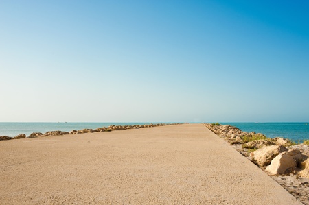 Low angle viewpoint of  a mole on a sunny morningの写真素材