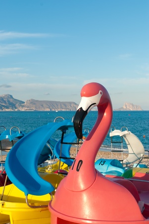 Different types of paddle boats on  a beachの写真素材