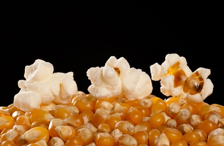 A stack of dried sweetcorn seeds with popcorn on top.の写真素材