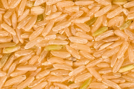 A full frame take of whole riceの写真素材