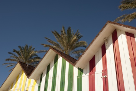 Red, green and yellow beach huts against palm trees in the backgroundの写真素材