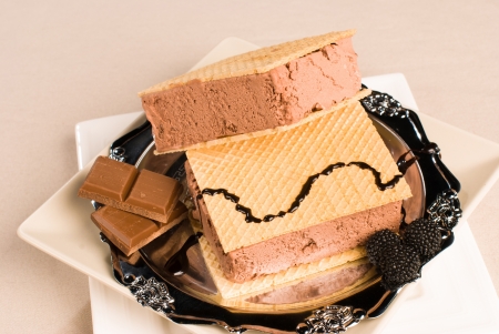 Crunchy  ice cream sandwich, a tempting dssertの写真素材