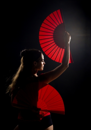 The beauty of flamenco in a low key profileの写真素材