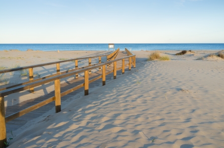 A footbridge through the duens of a natural park beachの写真素材