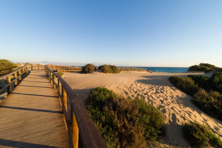 Wooden fodbridge leading across coastal dunes in a protected spaceの写真素材