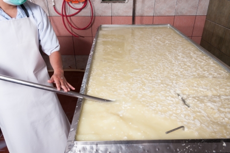 Fermenting milk being processed in a cheese factoryの写真素材
