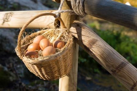 Traditional egg basket in   farm surroundings outdoorsの写真素材