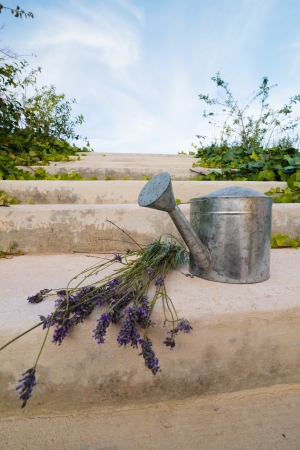 Watering can in garden surroundingsの写真素材