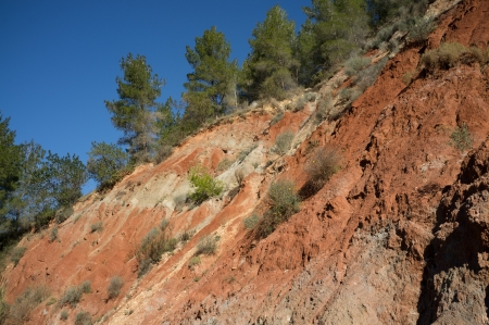 The effects of erosion on deforested soil