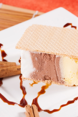 Closeup of a chocolate and vanilla ice cream sandwichの写真素材