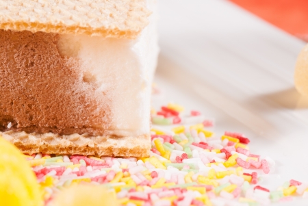 Ice cream sandwich served with sugar sprinklesの写真素材