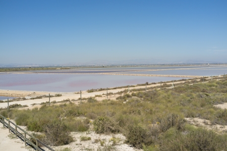 Pools of Santa Pola salt marsh under Mediterranean sunの写真素材