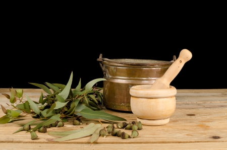 Fresh eucalyptus seeds and leaves in a still lifeの写真素材