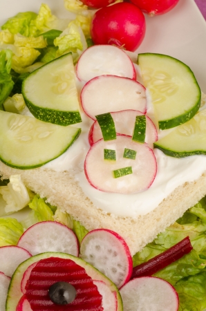 Sandwich bread and vegetables served in an atractive way for kidsの写真素材