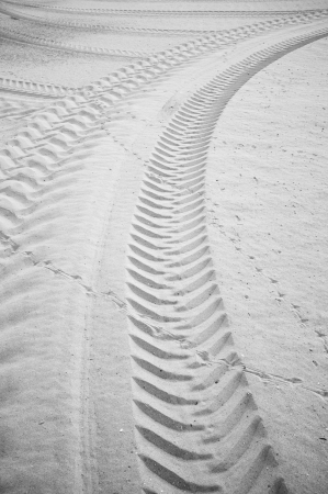 Many curved tyre track printed on  sandy soilの写真素材